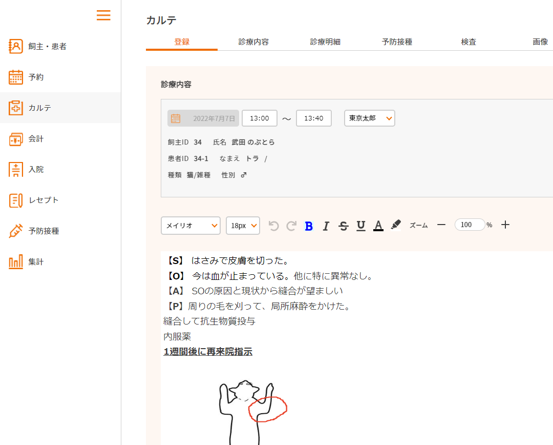 電子カルテ（診療内容）のイメージ図